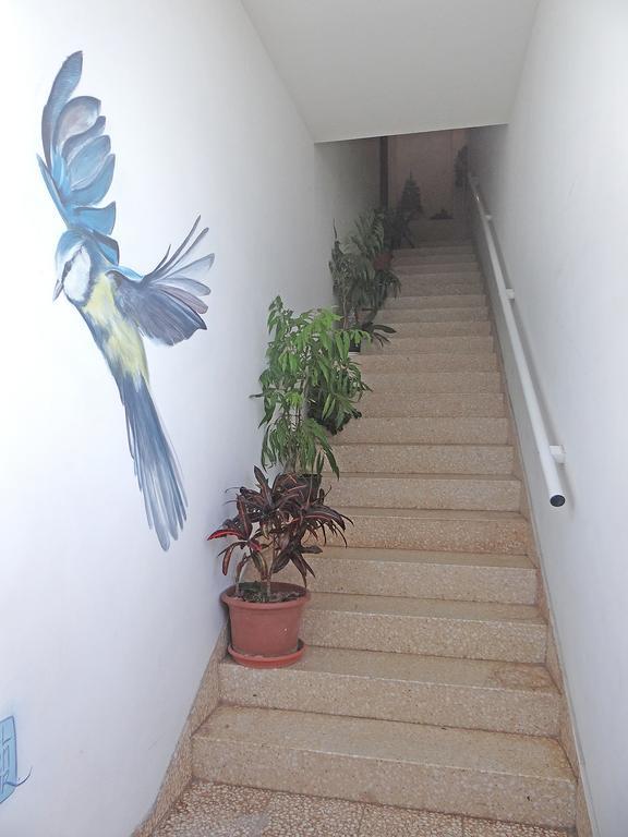 Apartamentos Dominguez Calera Buitenkant foto